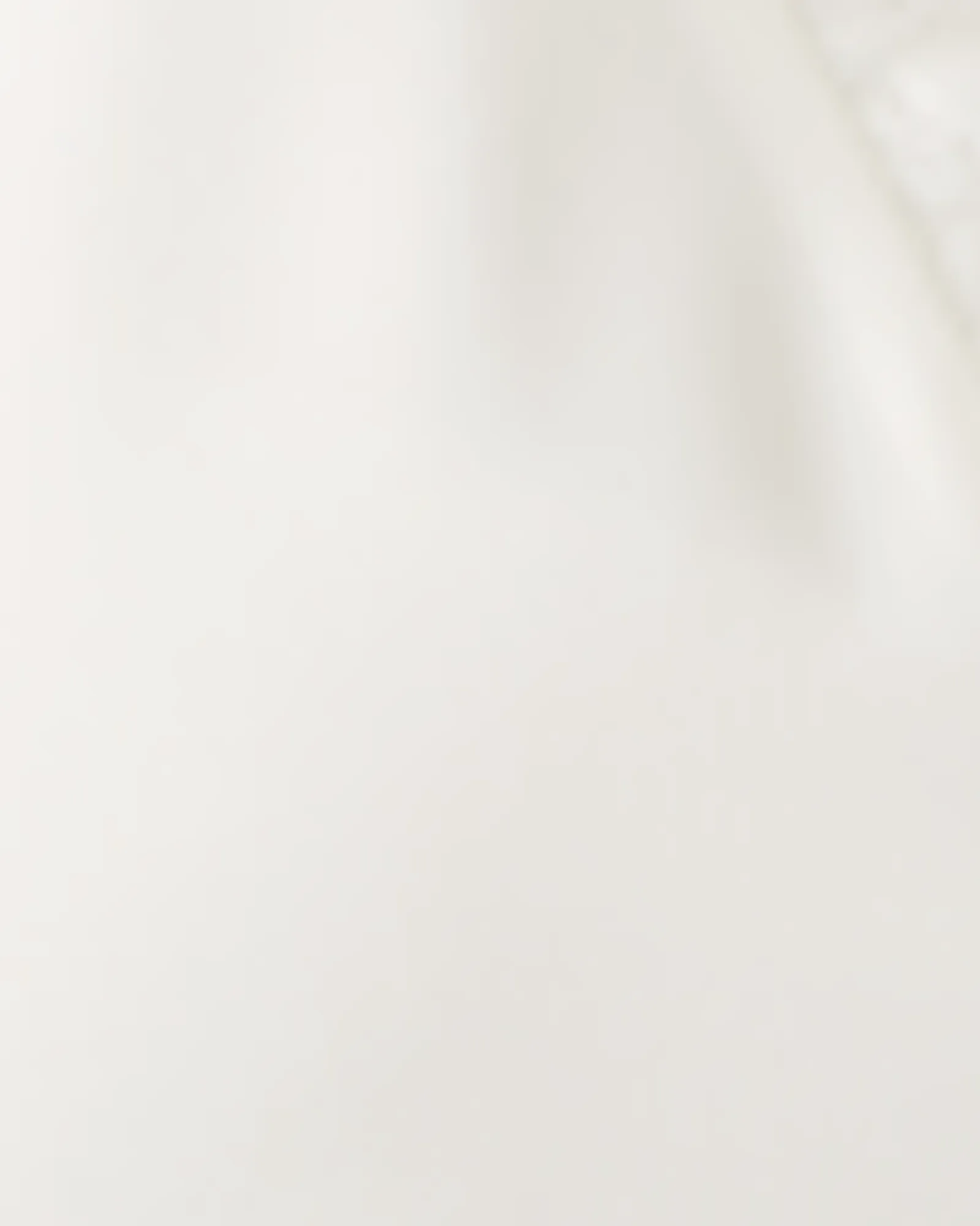 Kristie Lace-Trim Cami | White
